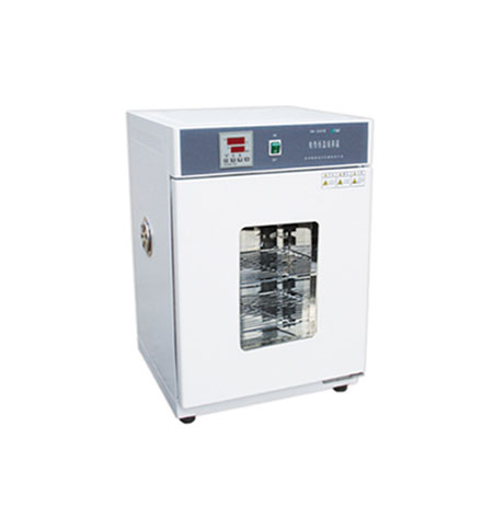 電熱恒溫培養箱