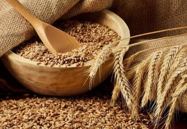 淀粉生產企業QS認證必備的檢驗設備