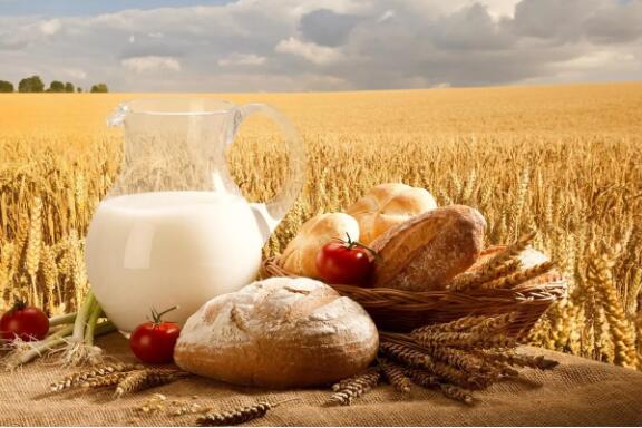 糧油企業(yè)哪些檢測(cè)項(xiàng)目需要液相色譜儀？