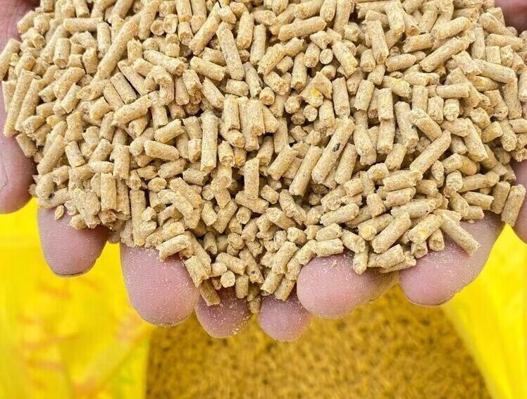 飼料安全檢測儀器配置清單