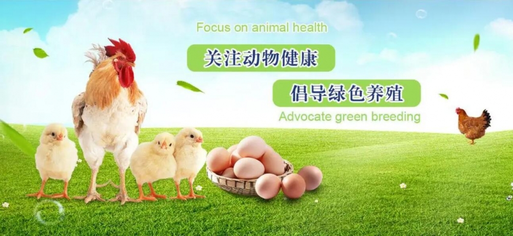 獸藥廠家GMP認證儀器配置清單